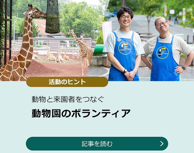 動物と来園者をつなぐ【動物園のボランティア】のスライダー画像　記事を読む