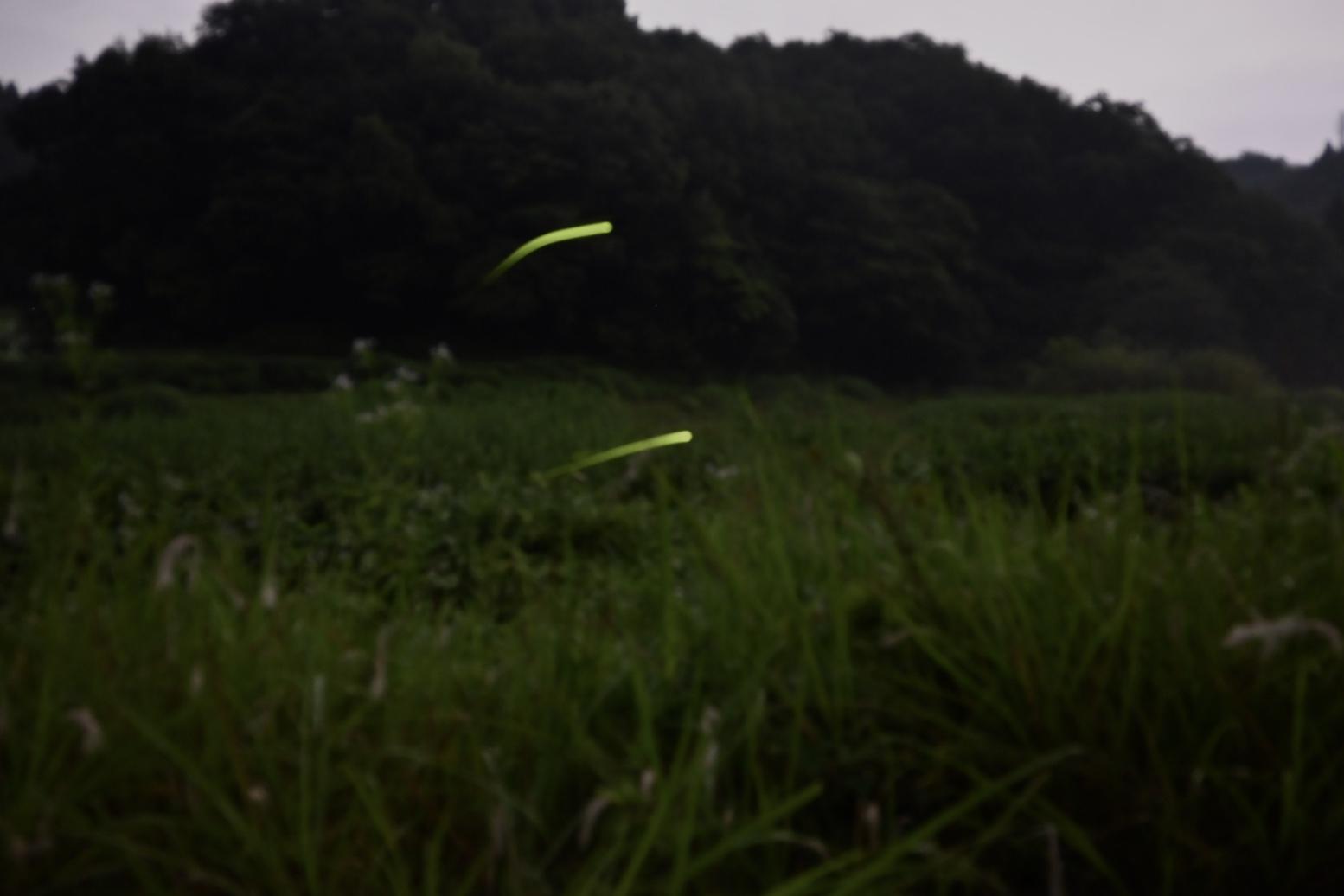 本文画像1